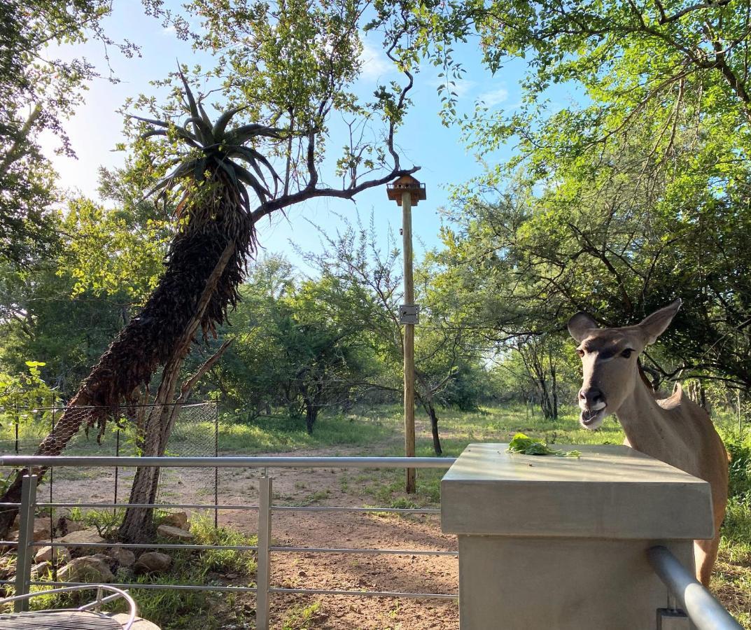 Kruger'S Keep - Luxury Couples Haven Villa Marloth Park Exterior foto